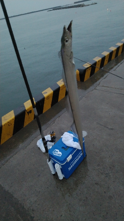 車窓フィッシング