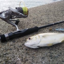 すくすくメッキ