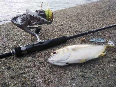 すくすくメッキ