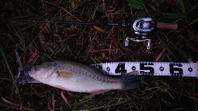 神のアクション