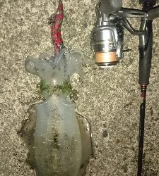 再びマルチヒット!!