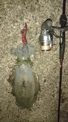 再びマルチヒット!!