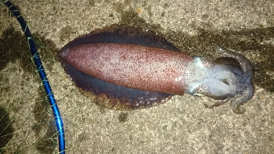 こんなものかな？