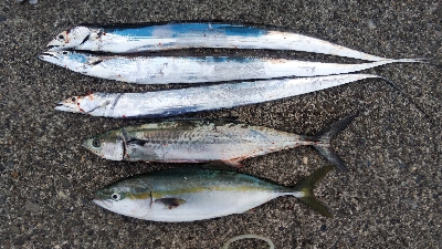 県北ランガン！