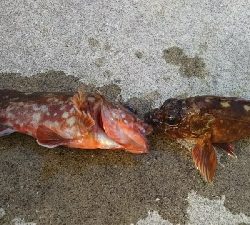 あと少しで尺だった