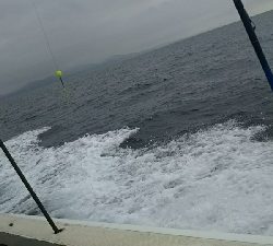 人生初ジギング