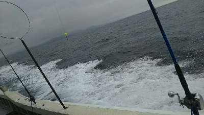 人生初ジギング