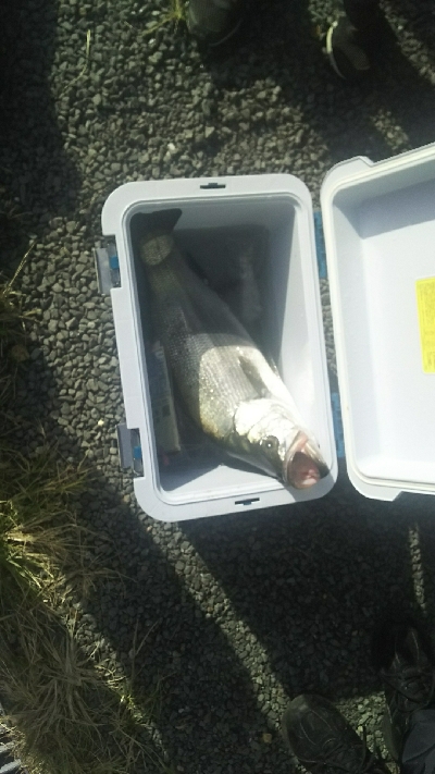 最後の最後で！