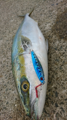 シーズンど真ん中