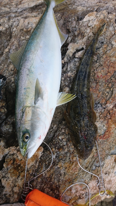 久しぶりの休日