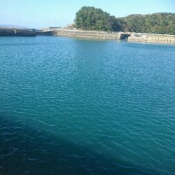 今日も行きました