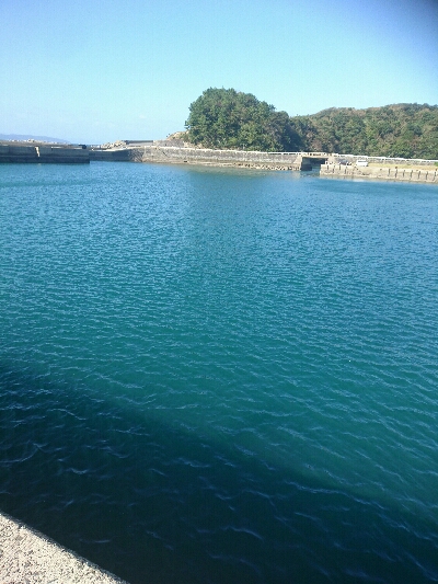 今日も行きました