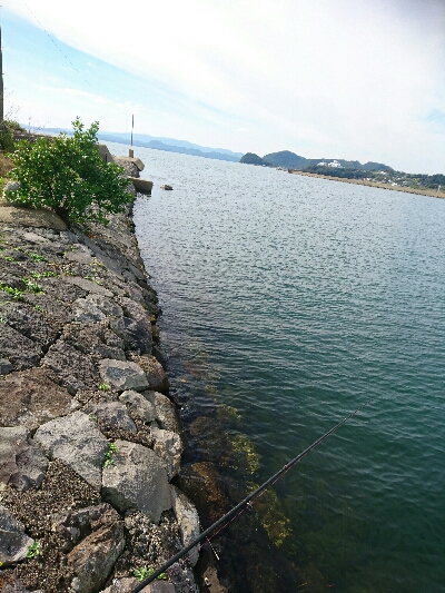 今日の釣果