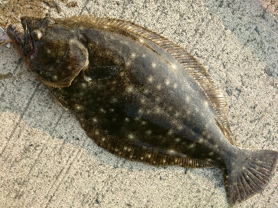 フラット連発❗❗…