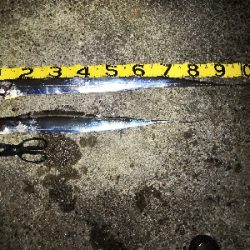 ドラゴンゲット