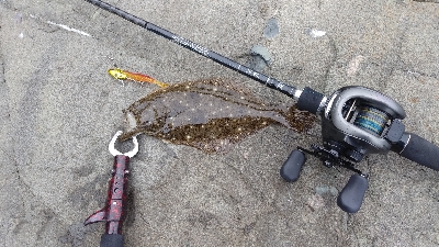 デイシーバス狙いだったが…