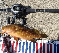 外海が荒れていたので