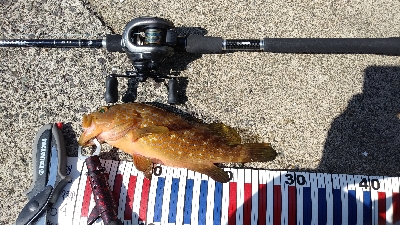 外海が荒れていたので