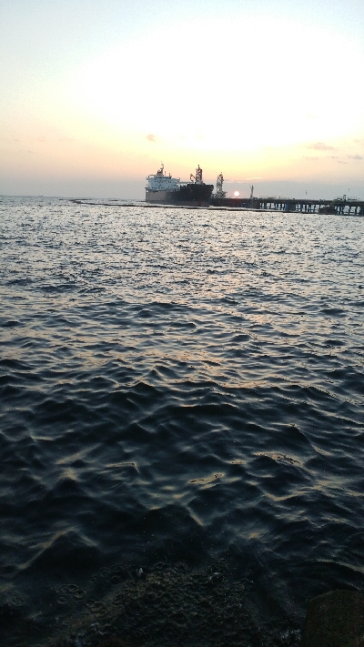 よく釣れました