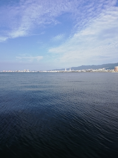 ギリギリハマチ?