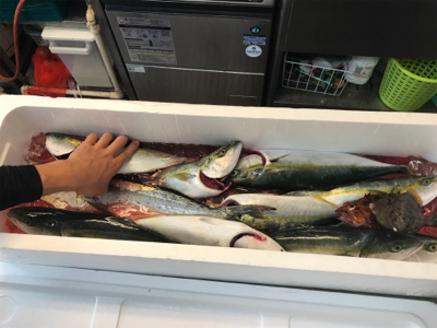 相模湾、横須賀オフショアジギング