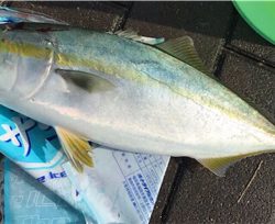 ショアジギングを始めて1年でやっと!!!