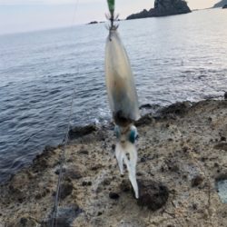 竹野浜ランガン エギング
