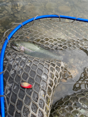 鬼怒川フィシングエリア　トラウト祭り
