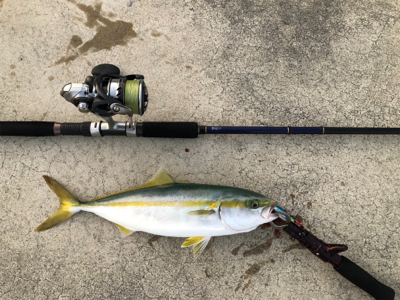 ショアジギング