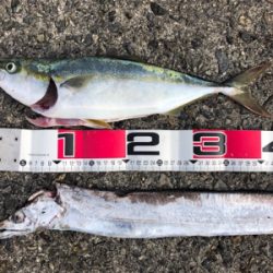 メタルバイブに助けられた^ ^笑