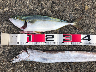 メタルバイブに助けられた^ ^笑