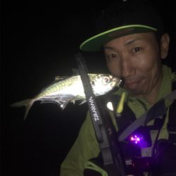 久しぶりのアジングなのに☆GUNNING-STYLE