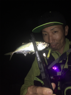 久しぶりのアジングなのに☆GUNNING-…