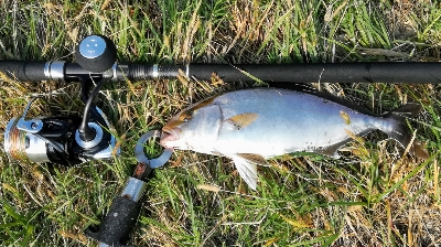 LSJigginger0755〜0845 …