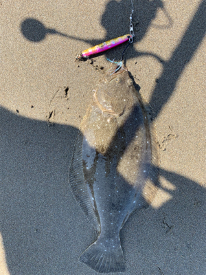 ジギングサビキ恐ろしや