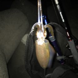 少し荒れてた方が釣れる?σ(^_^;)