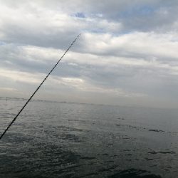 数年振りのシイラ