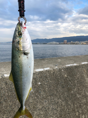 ショアジギング