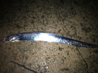 タチウオ、、どうにか、、