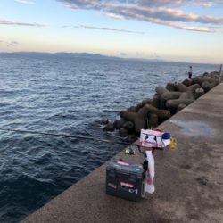 波止フカセ釣り