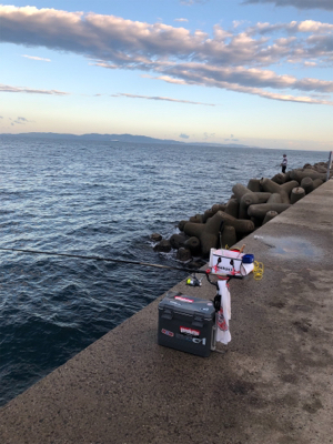 波止フカセ釣り