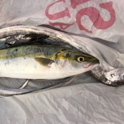 坊主からの脱出