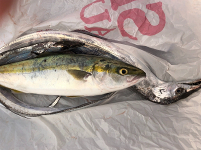 坊主からの脱出