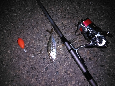 漸くマトモなのが居た