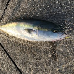 誕生日プレゼント??