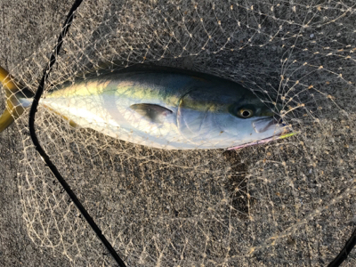 誕生日プレゼント??