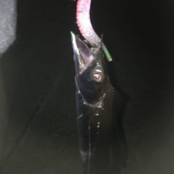 転勤後初釣行にて