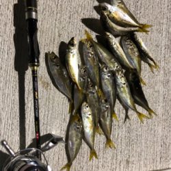 アジング   スラッグに高反応