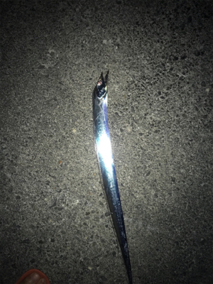 由比港 深夜タチウオ釣り