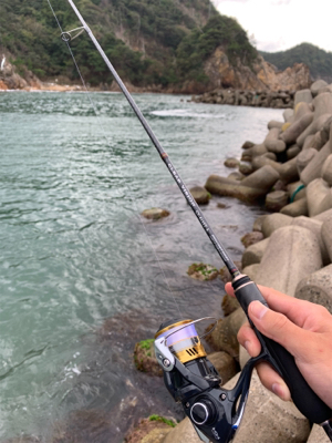 アジングのはずが、、、